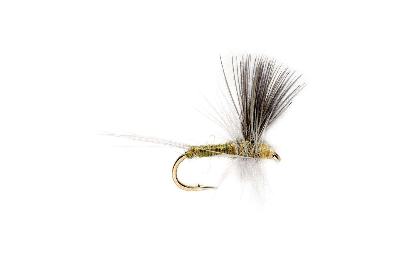 Blue-Winged-Olive-Thorax.jpg Blue Winged Olive Thorax dry fly (prices for 12 flies) - Image 1
