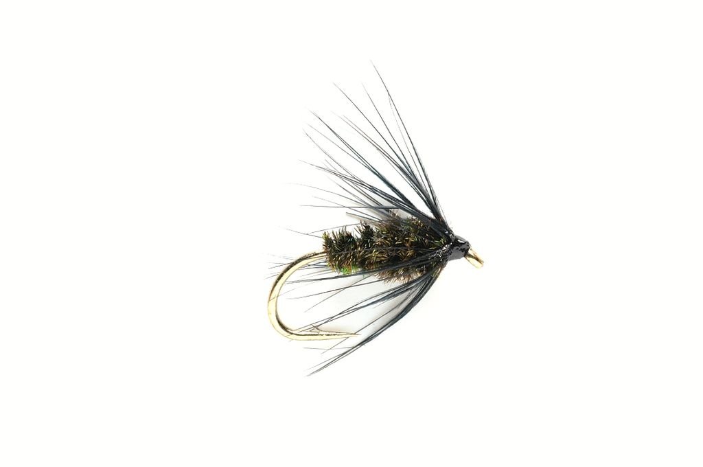 Spider-Black-Peacock.jpg black peacock spider wet fly(prices for 12 flies) - Image 1