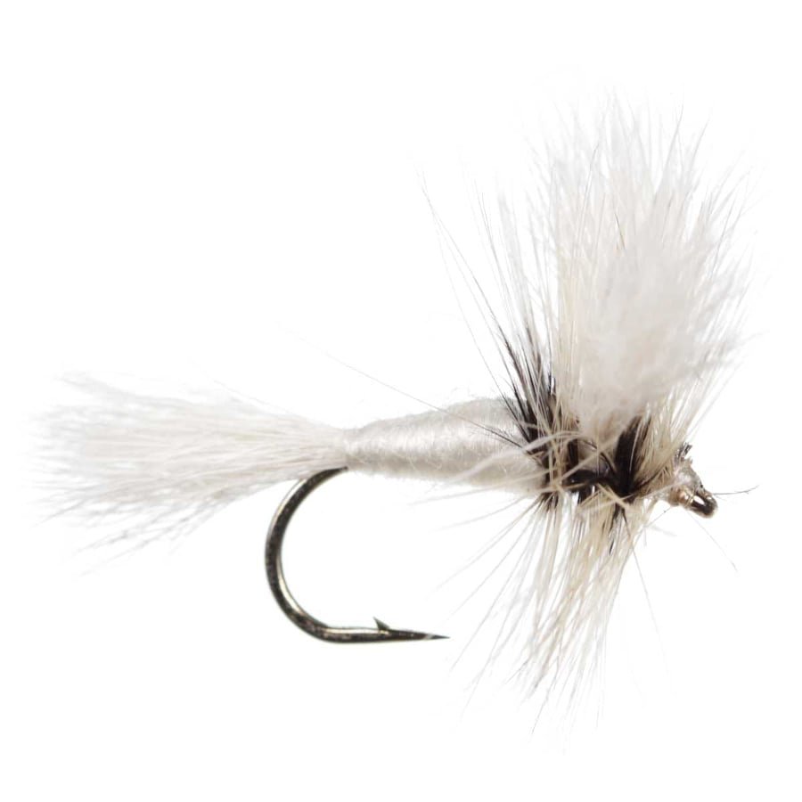 WHITE-WULF-DRY.jpg WHITE WULF DRY (PRICE FOR 12 PIECES) - Image 1