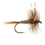 ADAMS DRY  READY TO SHIP ( PRICE FOR 12 PIECES)