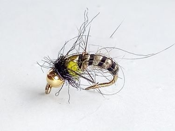 nymph.png bee czech nymph beadhead fly (prices for 12 flies) - Image 1