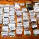 ASSORTED CUSTOMS ORDERS 2026